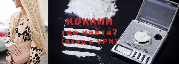 молекула духа Богданович