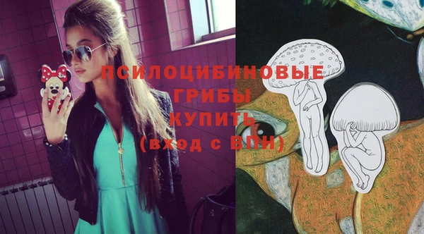 прущие крисы Богородск