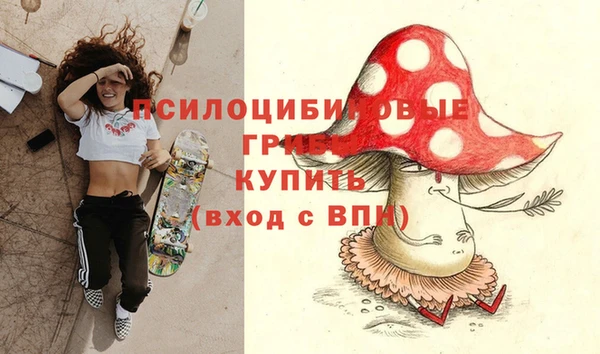 молекула духа Богданович