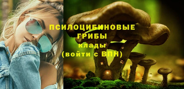 молекула духа Богданович