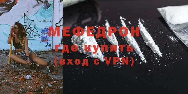 молекула духа Богданович