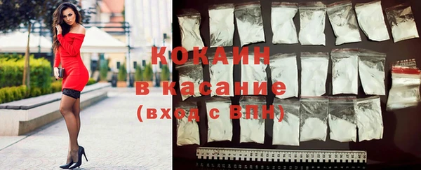молекула духа Богданович
