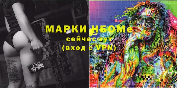 молекула духа Богданович