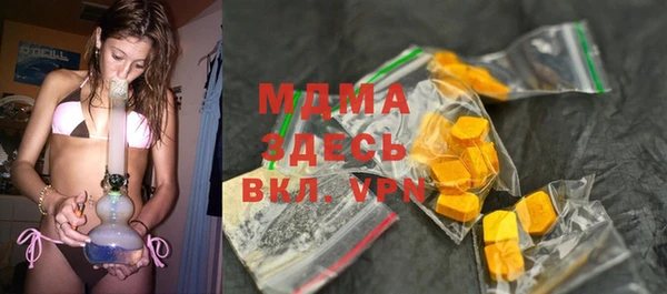 молекула духа Богданович
