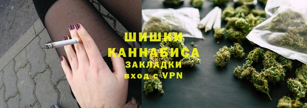 молекула духа Богданович