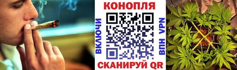 Шишки марихуана планчик  ссылка на мегу рабочий сайт  Новоуральск 